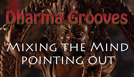 Dharma Grooves:  Mixing the Mind - Pointing Out Instructions