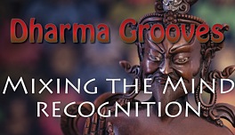 Dharma Grooves: Miixing the Mind - Recognition